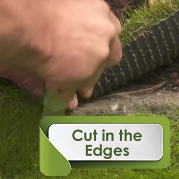 cut in edges